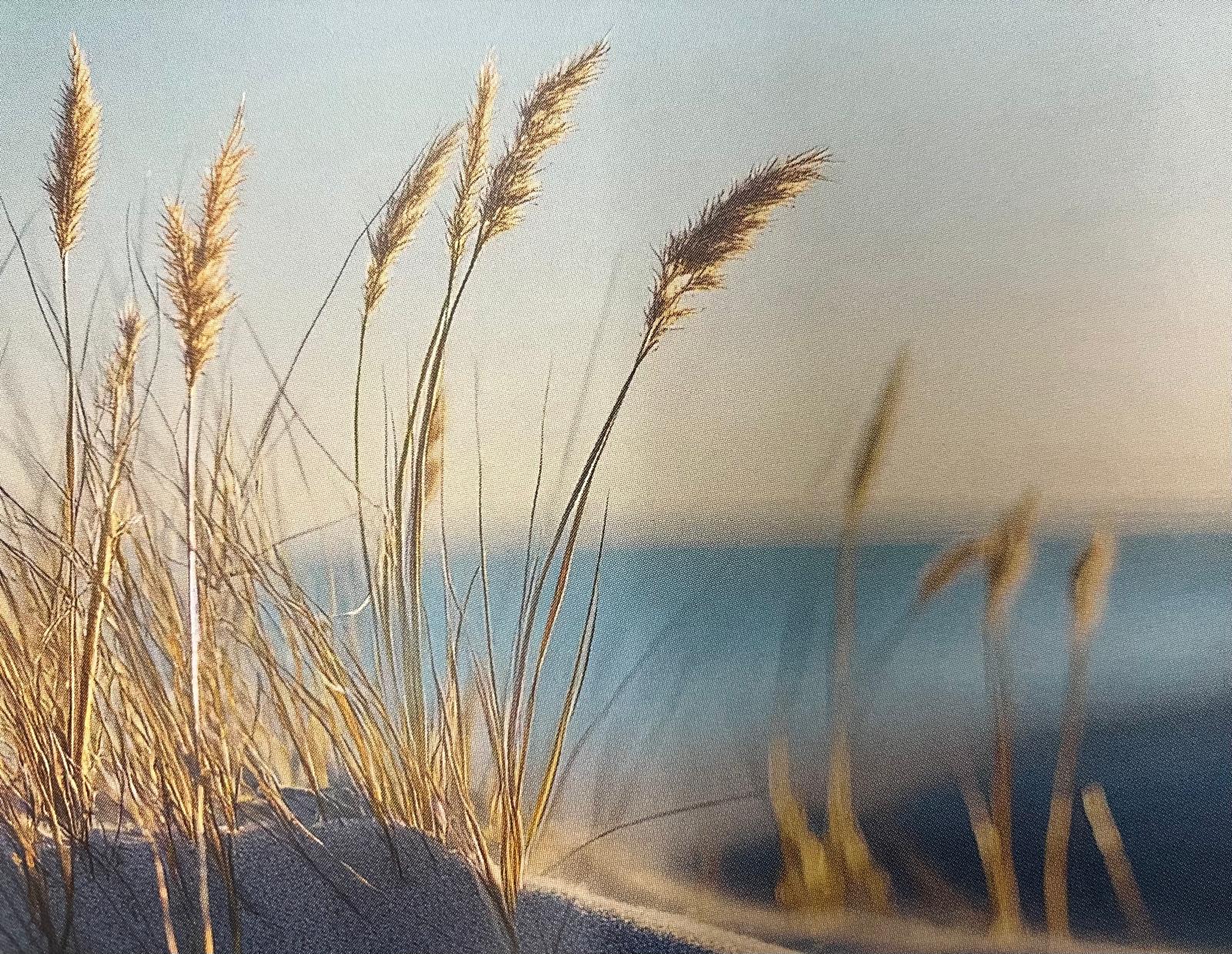 zomer collectie foto